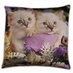 Антистрессовая подушка "Кошки" малый два котенка с сиреневой тряпкой