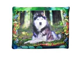 Антистрессовая подушка "Собаки лето" Зел-синЛайка