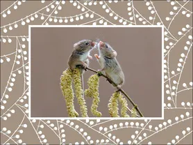 Антистрессовая подушка "Мышка парочка" Коричневая.