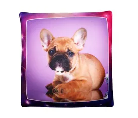 Антистрессовая подушка "Милые щенки" большой Бульдстоят уши