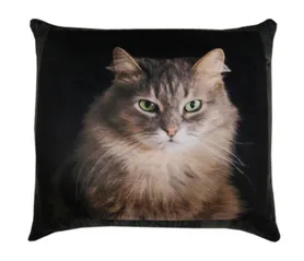 Антистрессовая подушка "Котеньки" Сибирская