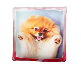 Антистрессовая подушка "Милые щенки" большой Шпиц, розрамка