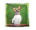 Антистрессоавая подушка "Собаки с пожеланиями". Летнего позитива