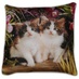 Антистрессовая подушка "Кошки" большой два котенка с белыми животиками в красных цветах