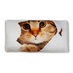 Антистрессовая подушка-подголовник "Животные велюр" Рыжий кот сквозь бумагу