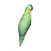 Игрушка антистресс "Попугай" зеленый