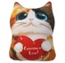 Игрушка Кот в Мешке
