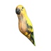 Игрушка антистресс "Попугай" желтый